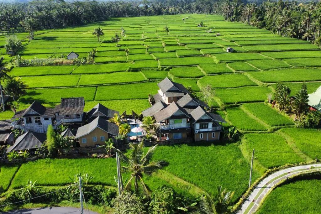 Ananda Jj Ubud Resort & Spa מראה חיצוני תמונה